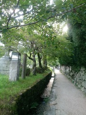 夏の小路