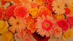 花と香りのスペシャルコース