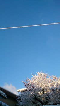 気分アゲ曲
